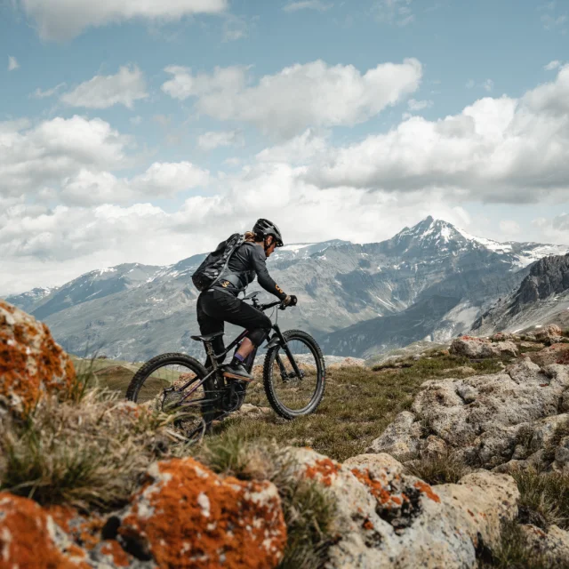 Mountain bike - landscape