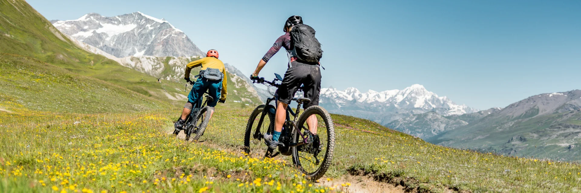 Downhill mountain bike