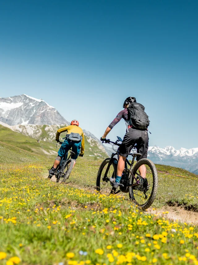 Downhill mountain bike