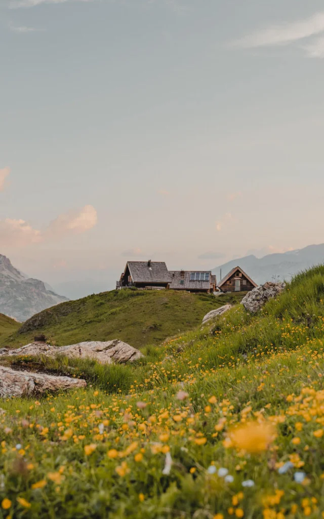 national-park-of-the-summer