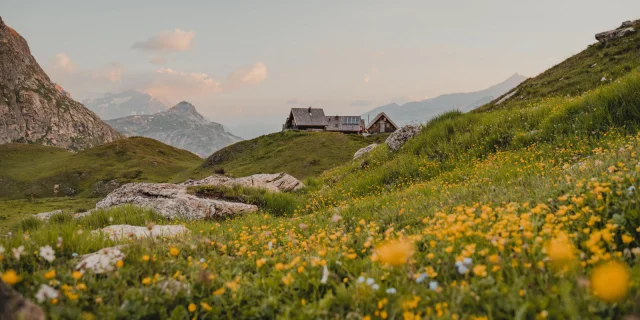 Parc National De La Vannoise en été