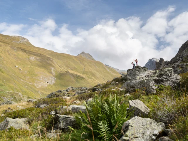 landscape-val-summer-2