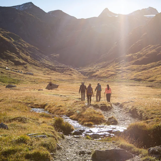 hiking-summer-group-2
