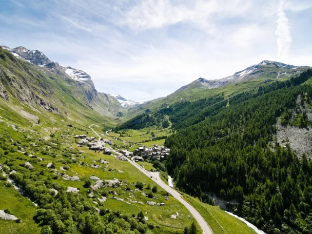 valdisere-00004860
