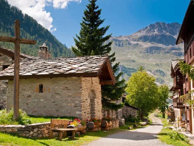 valdisere-00004915