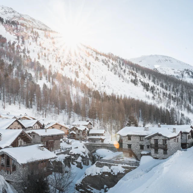 valdisere-00027434 (1)