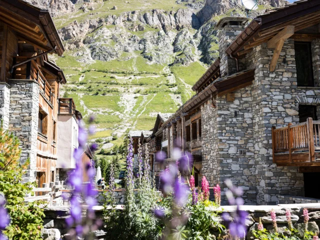 valdisere-00030887
