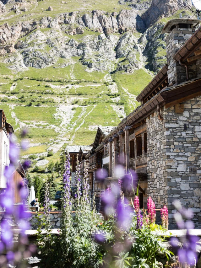 valdisere-00030887