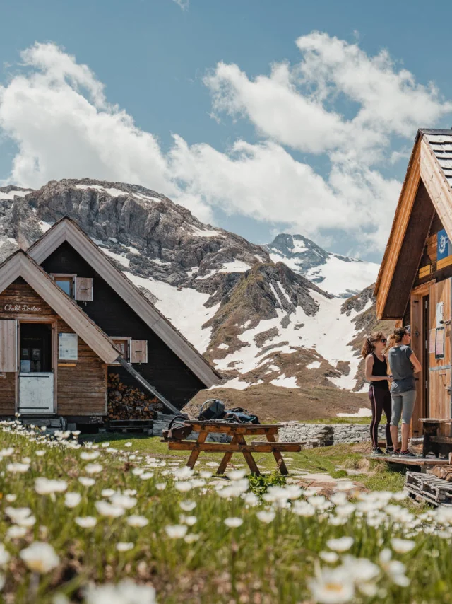 valdisere-00031205