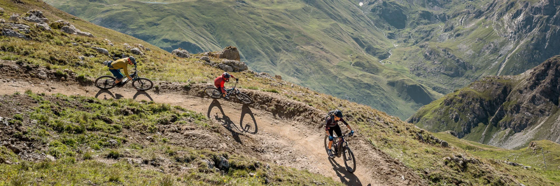 valdisere-00031731