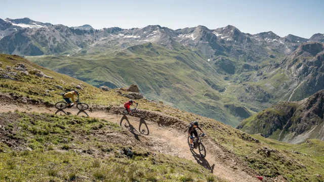valdisere-00031731
