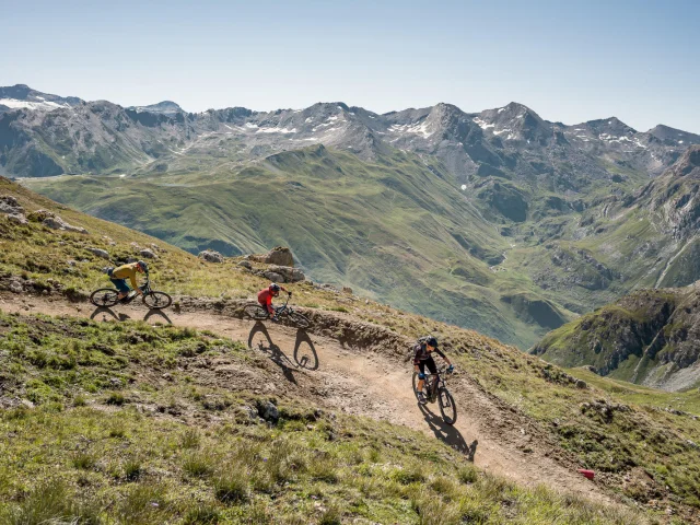 valdisere-00031731