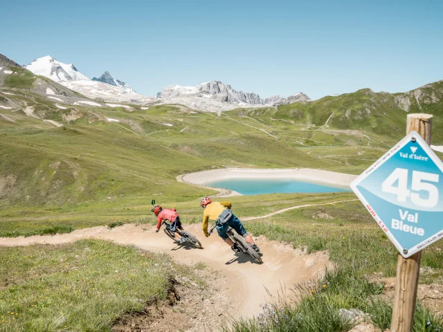 valdisere-00031739