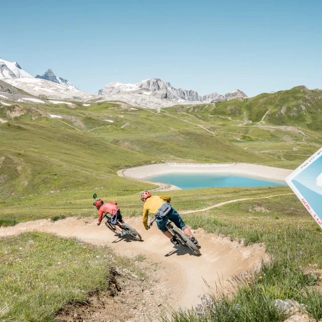 valdisere-00031739
