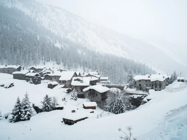 valdisere-00033088