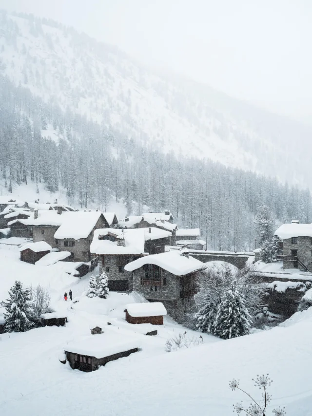 valdisere-00033088
