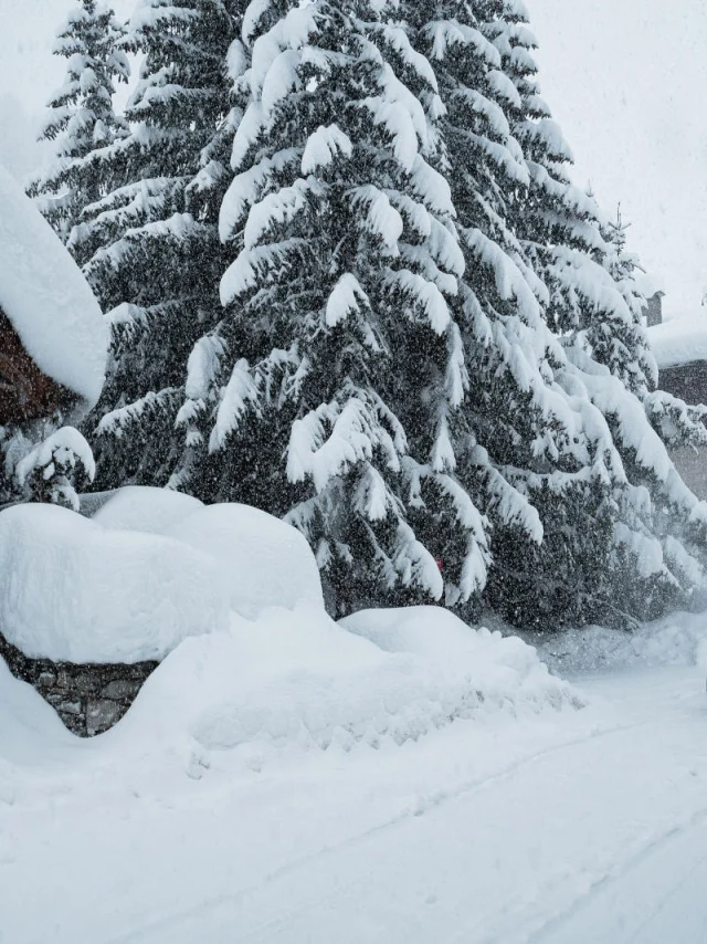valdisere-00033164