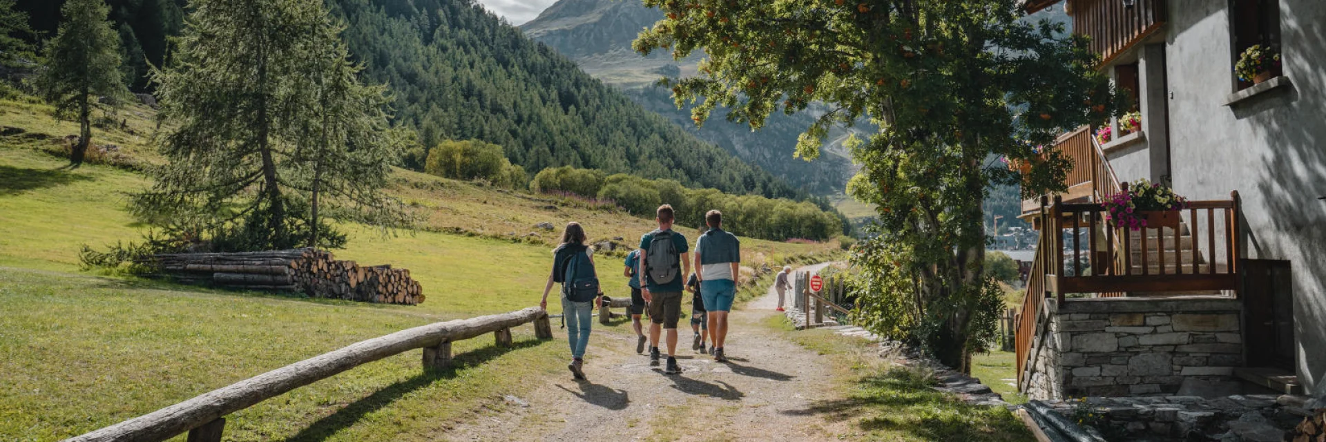 valdisere-00034132