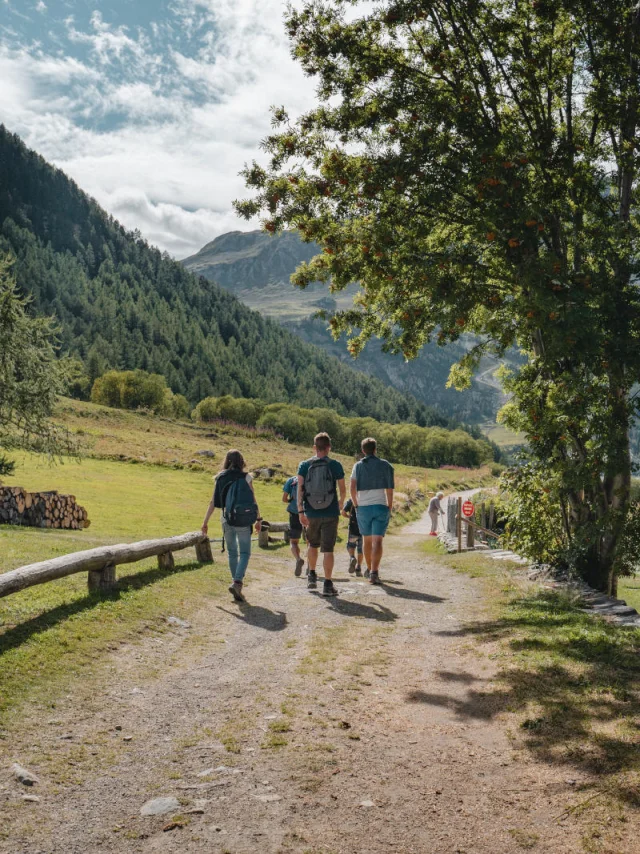 valdisere-00034132