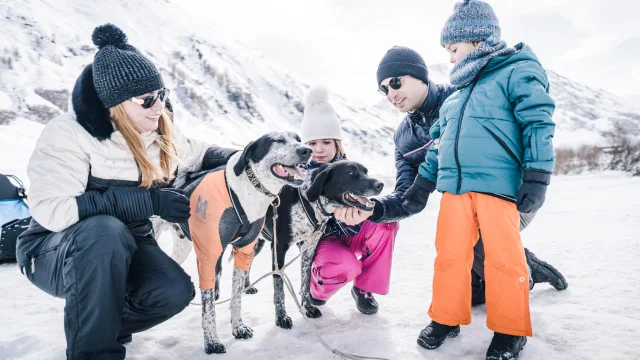 Chiens de traineau en famille