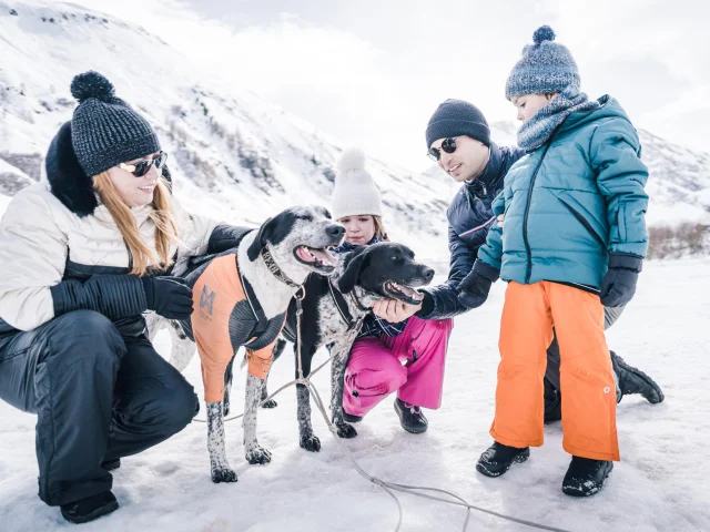 Chiens de traineau en famille