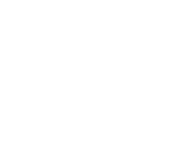 VALDIS_CLUB_LOGO_WHITE_RVB