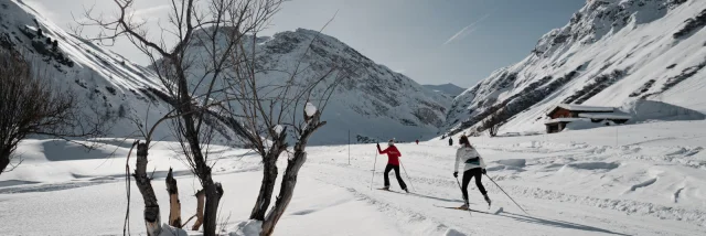 valdisere-00030602