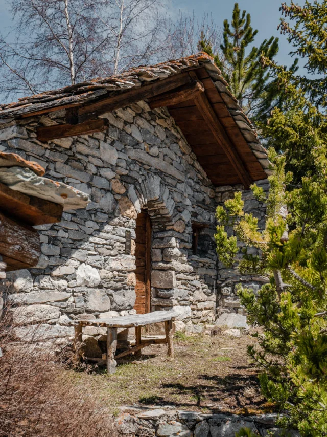 valdisere-00031134