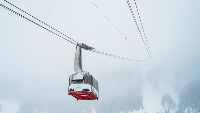 valdisere-00033112
