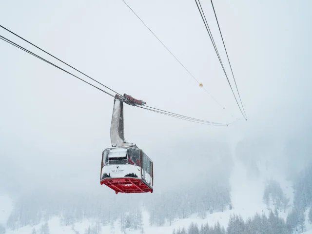 valdisere-00033112