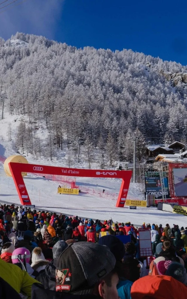 valdisere-00034877