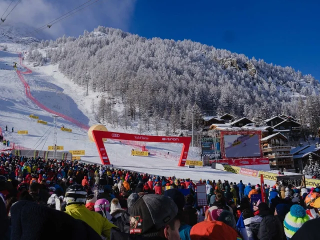 valdisere-00034877
