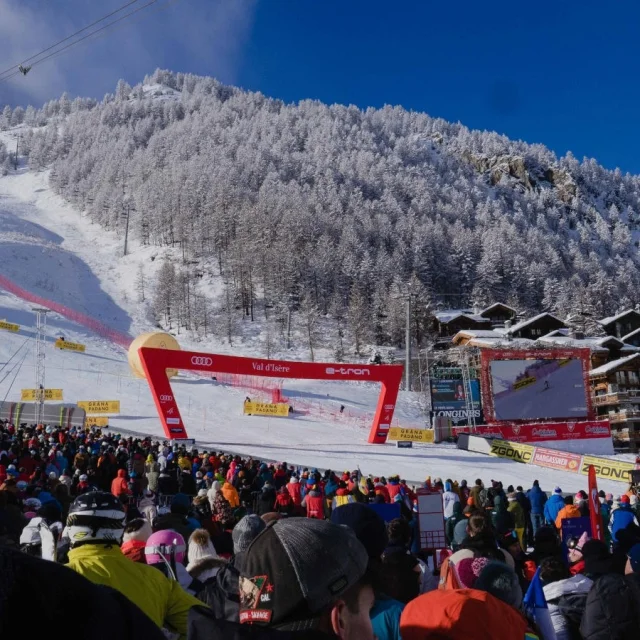 valdisere-00034877