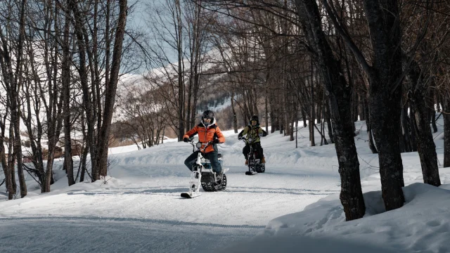 Activité moonbike entre les sapins
