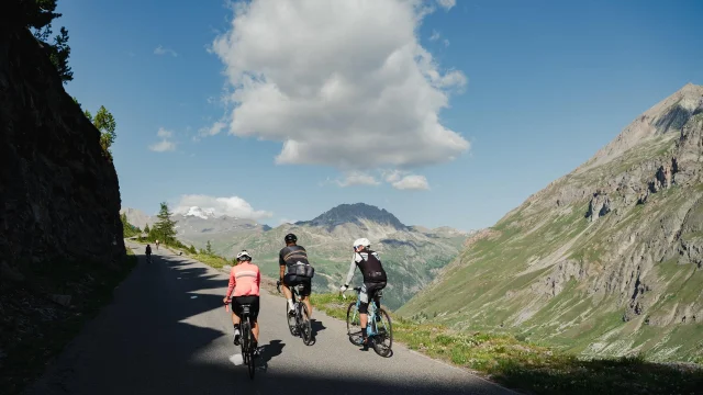valdisere-00034491 (1)