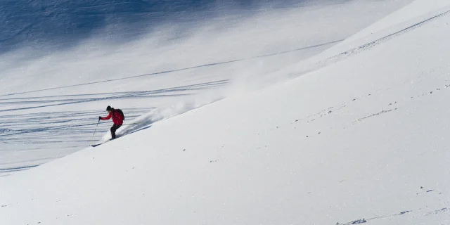 Valdisere 00001563