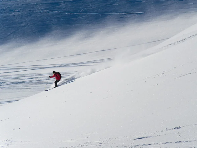 Fuori pista, sci in neve fresca