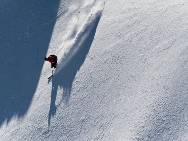 Valdisere 00001577
