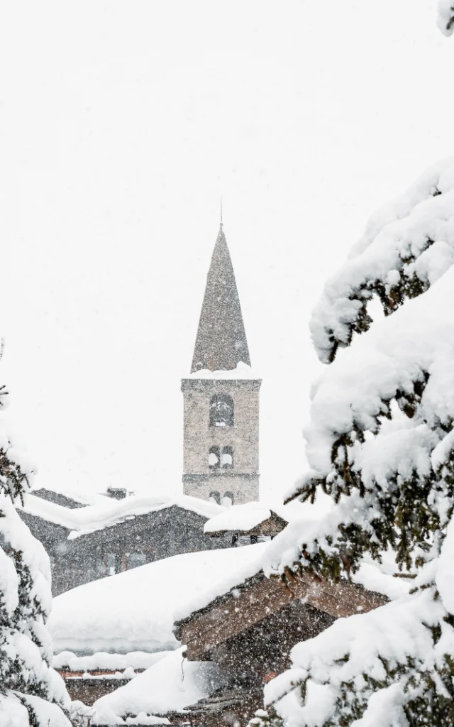 Valdisere 00035667