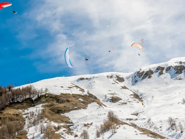Valdisere 00026510