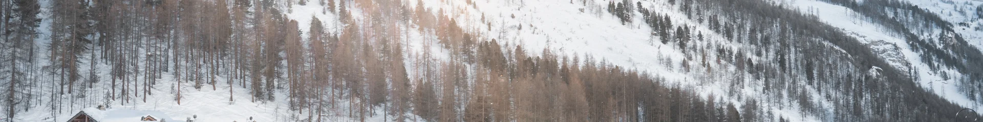 Valdisere 00027434