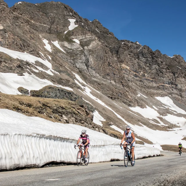 Valdisere 00028065