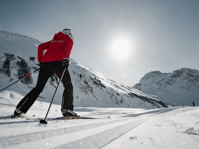 Cession De Ski De Fondie 2856