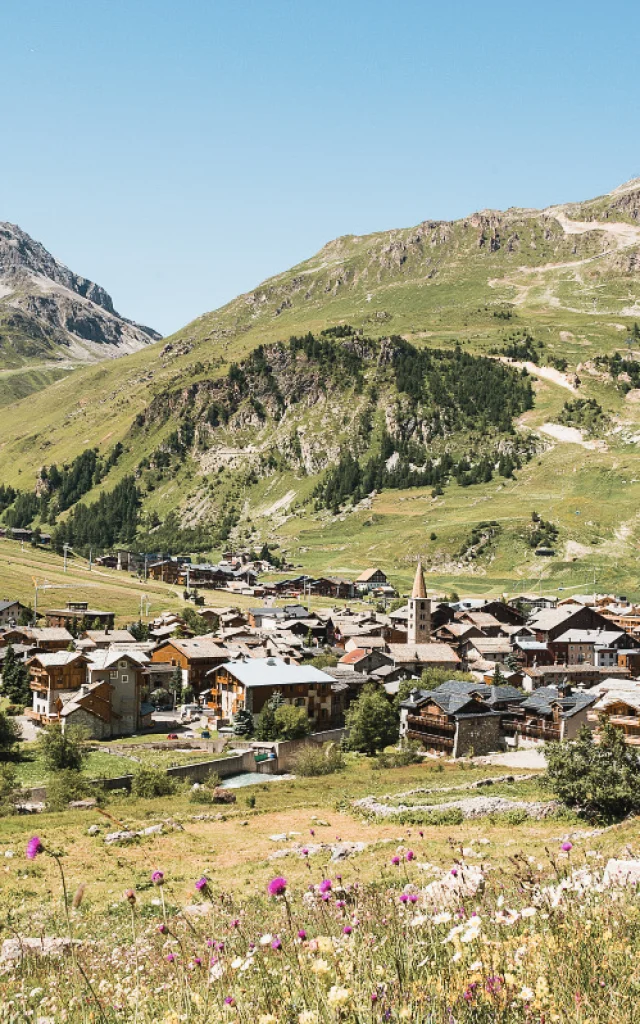 Valdisere 00004959