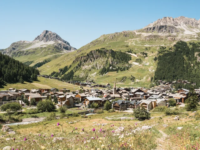 Valdisere 00004959