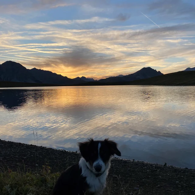 Coucher de soleil au lac de l'Ouillette avec chien