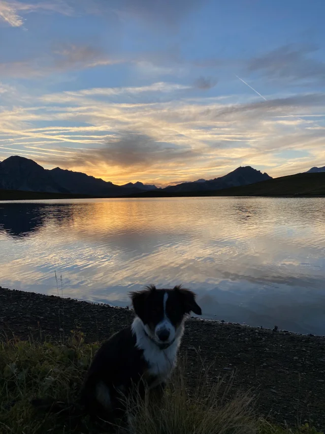 Sunset At Lac De Louillette With Dog Violette Staehle