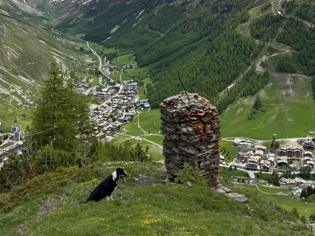 Le Cairn Avec Chien Violette Staehle