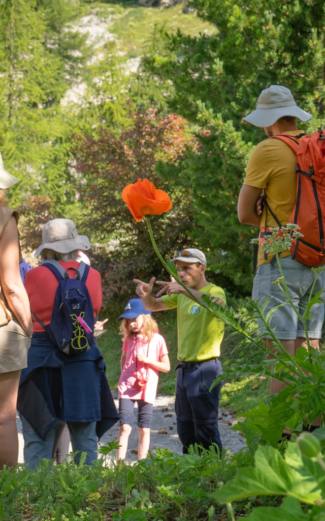 Balade accompagnée Au jardin de ma Grand-Mère avec Franck à Val d'Isère en été