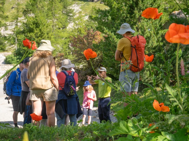 Au Jardin De Ma Grand Mere Balade Franck Corentin Valencot 43